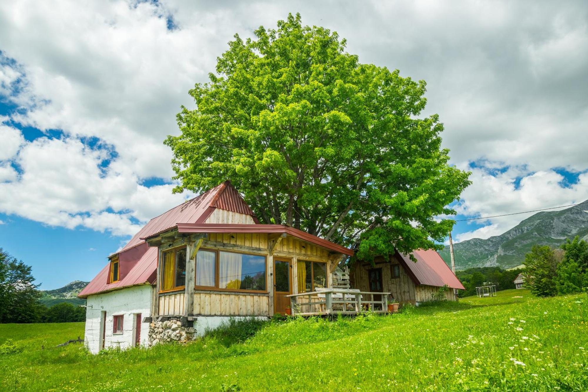 זבליאק Maple Village מראה חיצוני תמונה
